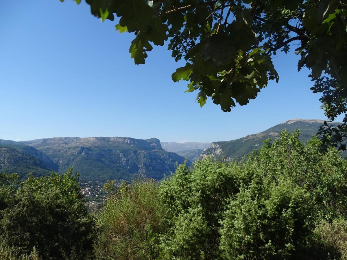 Luva D'Azur, Rez De Villa Le Riou - Le Vallon Le Bar-sur-Loup Exterior foto